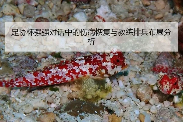 zu-xie-bei-qiang-qiang-dui-hua-zhong-de-shang-bing-hui-fu-yu-jiao-lian-pai-bing-bu-ju-fen-xi-2-309.jpg